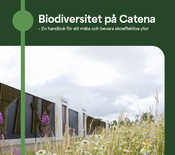 Biodiversitet På Catena Framsida Kopia