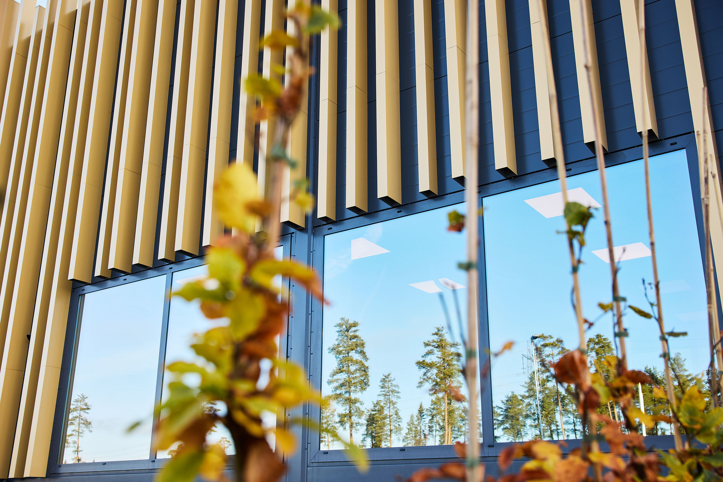 Stigamo1 49 Stigamo 289