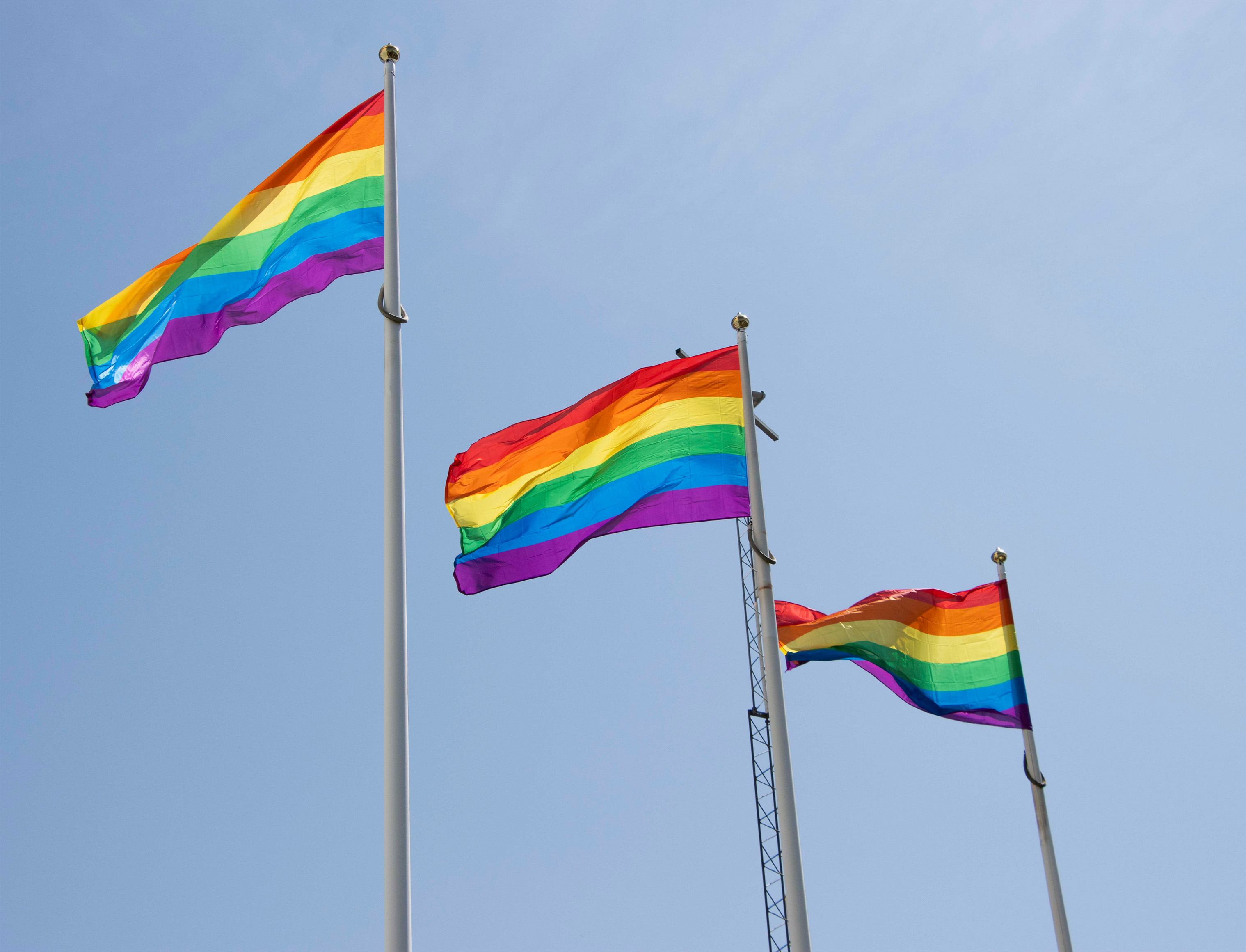 Pride Webb